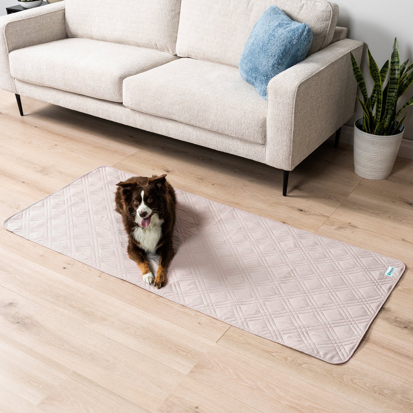 Waterproof Washable Microfiber Polyester Dog Bed Slipcovers, Beige